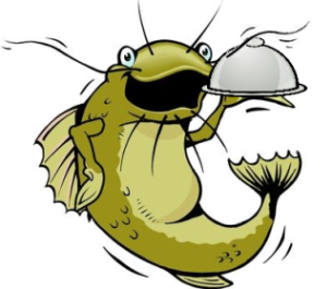 Catfish server image